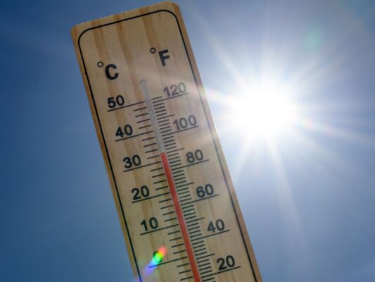 Comment faire couver des œufs de tortue ? 4 Thermomètre en bois 29°C