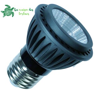 Guide complet sur l’éclairage et le chauffage (terrarium) 10 Ampoule LED