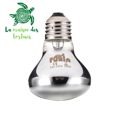 Guide complet sur l’éclairage et le chauffage (terrarium) 4 Ampoule lumière du jour