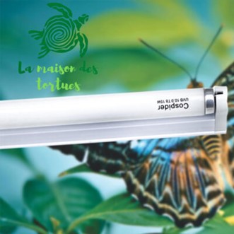 Guide complet sur l’éclairage et le chauffage (terrarium) 7 Tube fluorescent